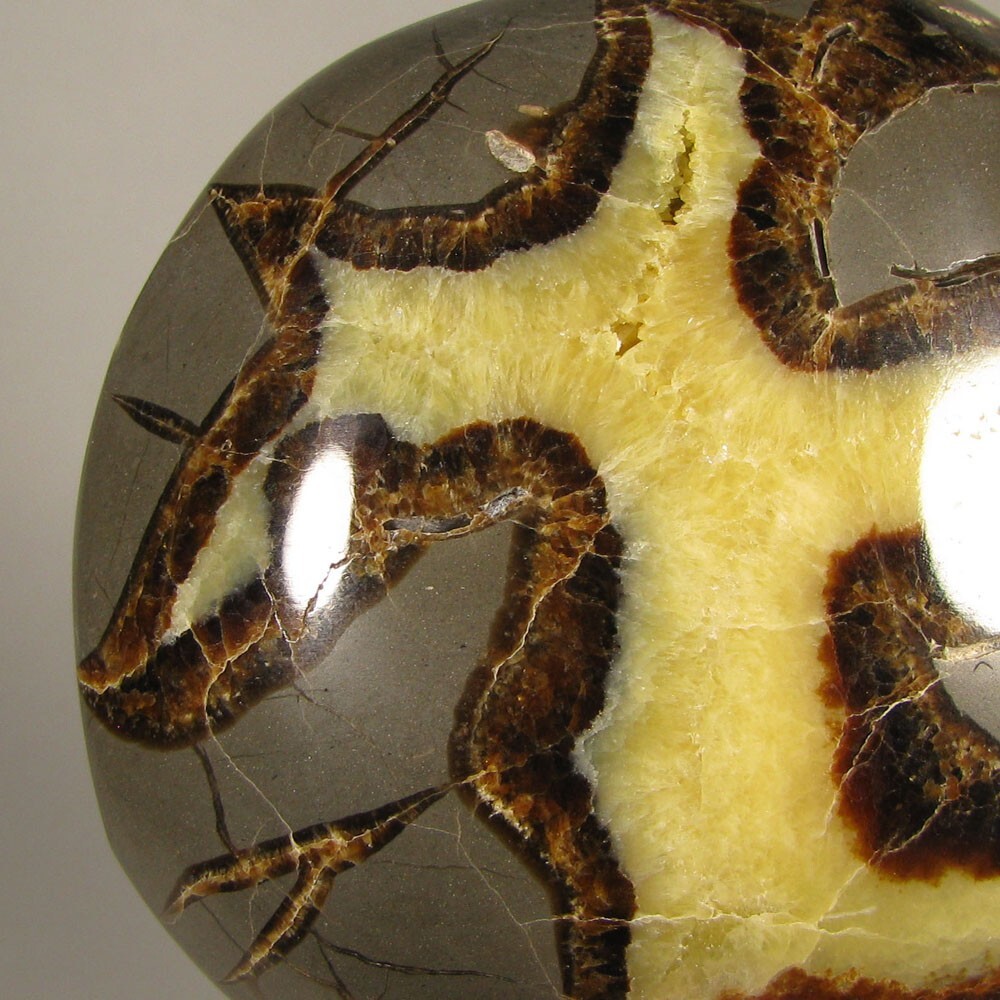 3.8″ SEPTARIAN Turtleback Polished Geode End Slab – Utah