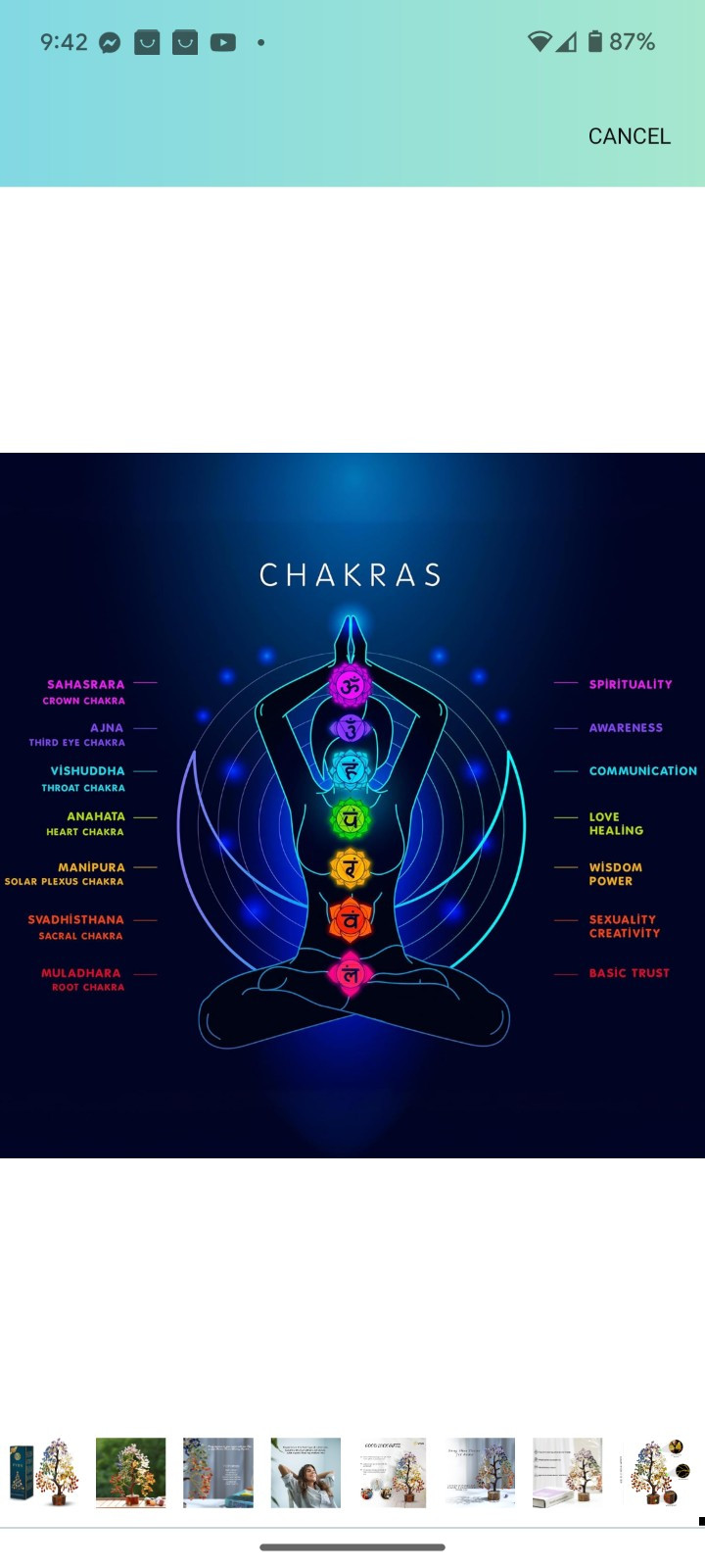 PYOR 7 Chakra Tree of Life Crystals Gifts for Women Crystal Tree Money Tree C…