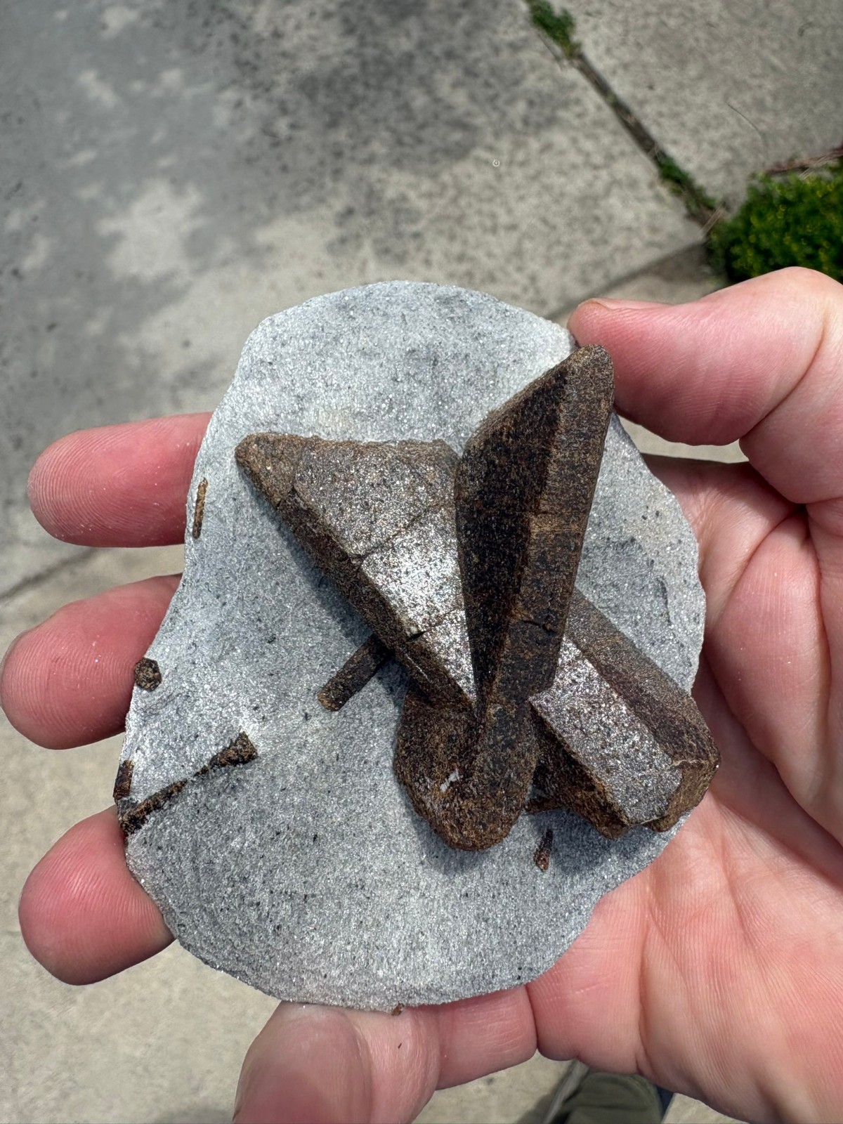 Staurolite, “fairy cross”, Keivy Mountains, Kola Peninsula, Russia