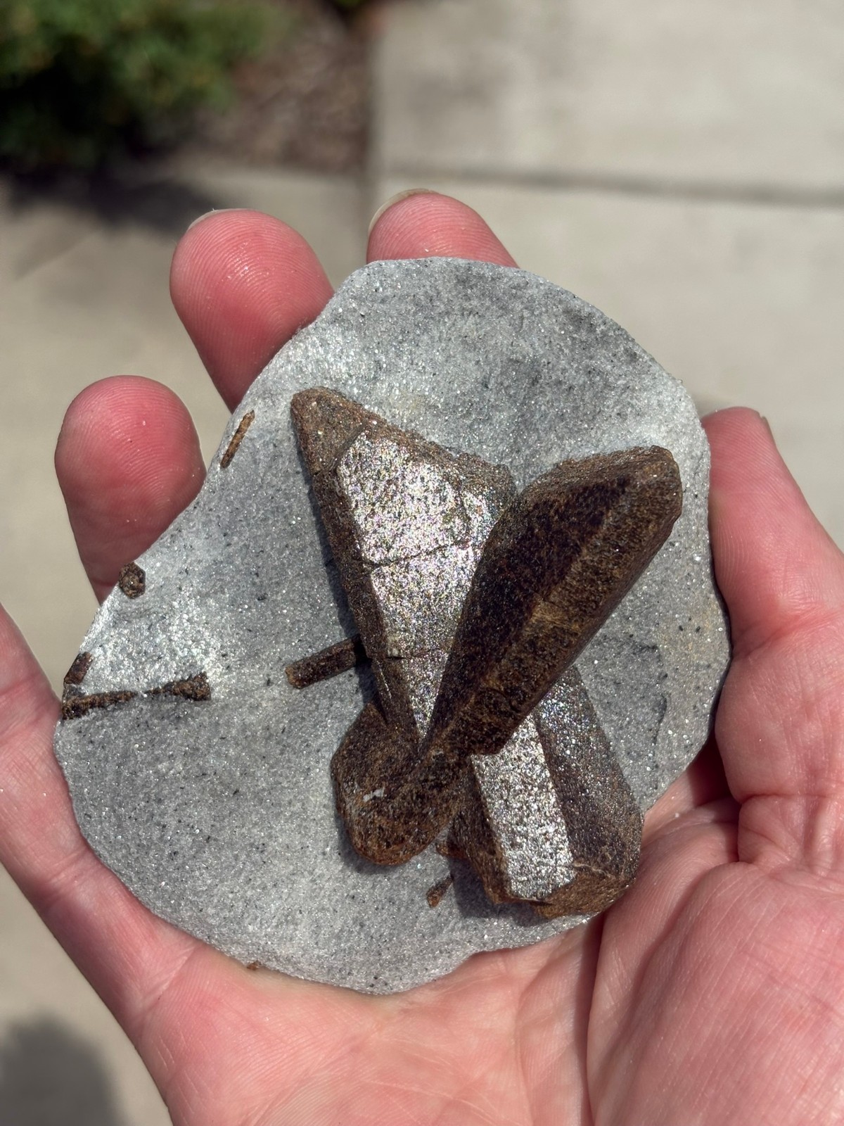 Staurolite, “fairy cross”, Keivy Mountains, Kola Peninsula, Russia