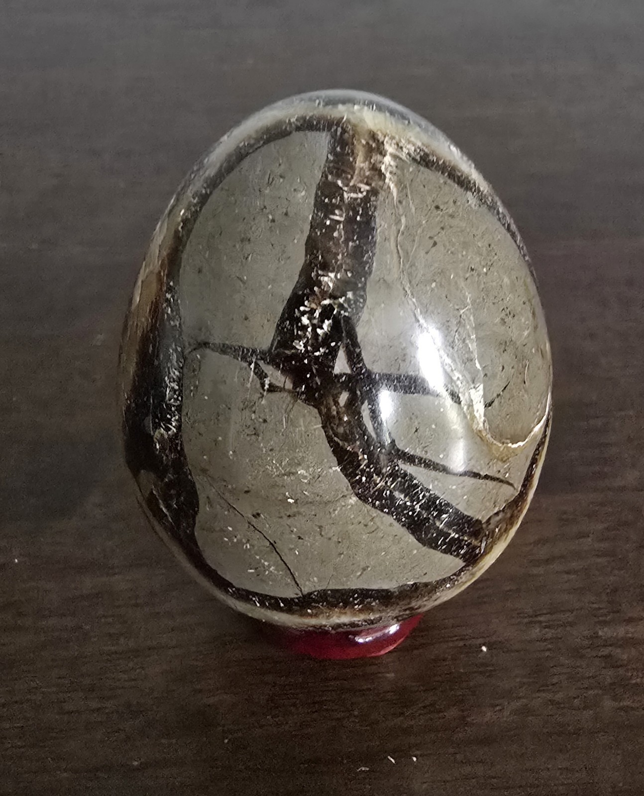 Polished Septarian Nodule Egg Display Specimen, 2.94 Inches, UV Reactive