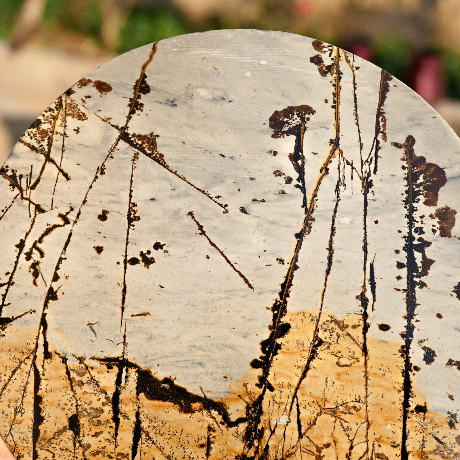 Picture Jasper Round Slice 5in Polished Landscape Stone Disc Display Shelf Decor