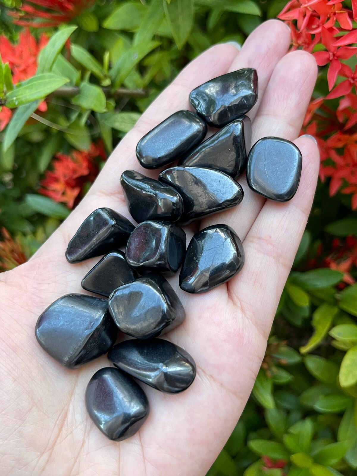 Grade A++ Shungite Tumbled Stone, 0.75-1.25″ Tumbled Shungite, EMF Protection