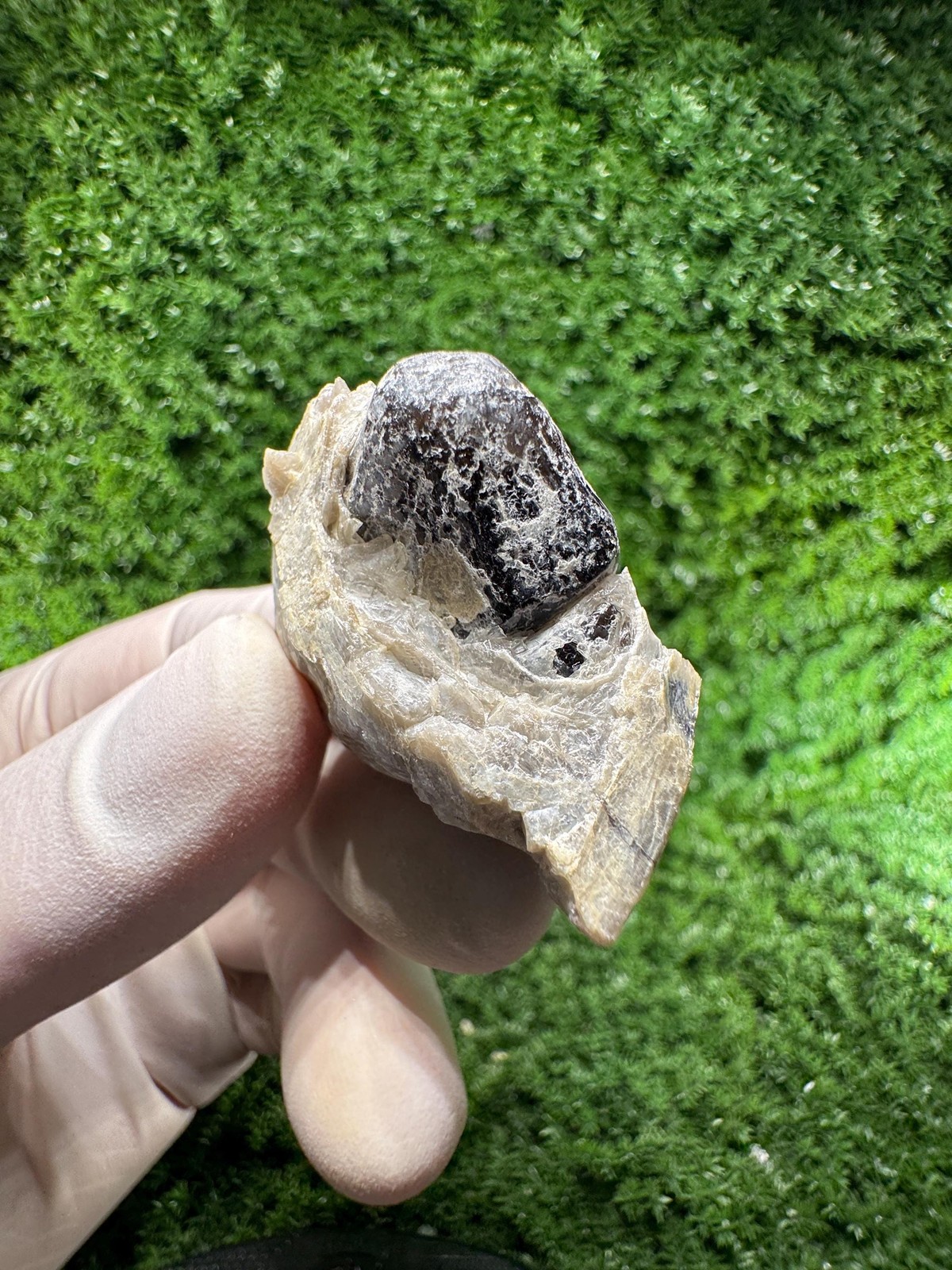 RARE BLACK TOURMALINE – from Vitosha Mountain / N830