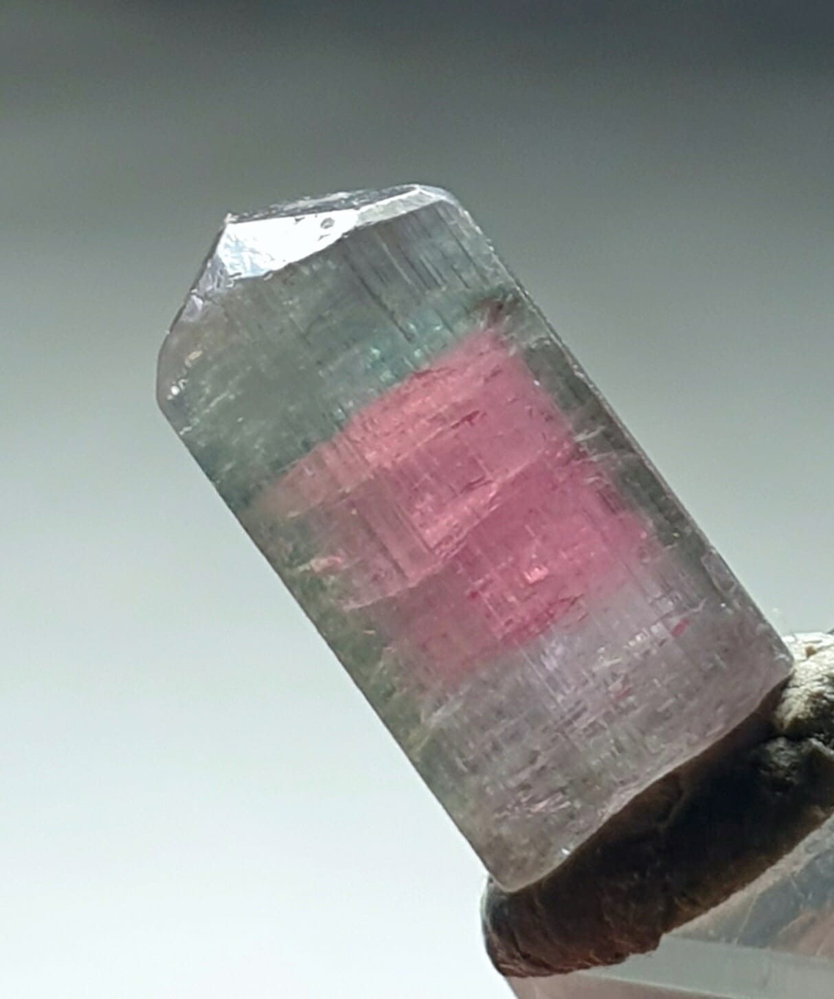 Saturated Bi Color Terminated Tourmaline Crystal From Afganistan 🇦🇫