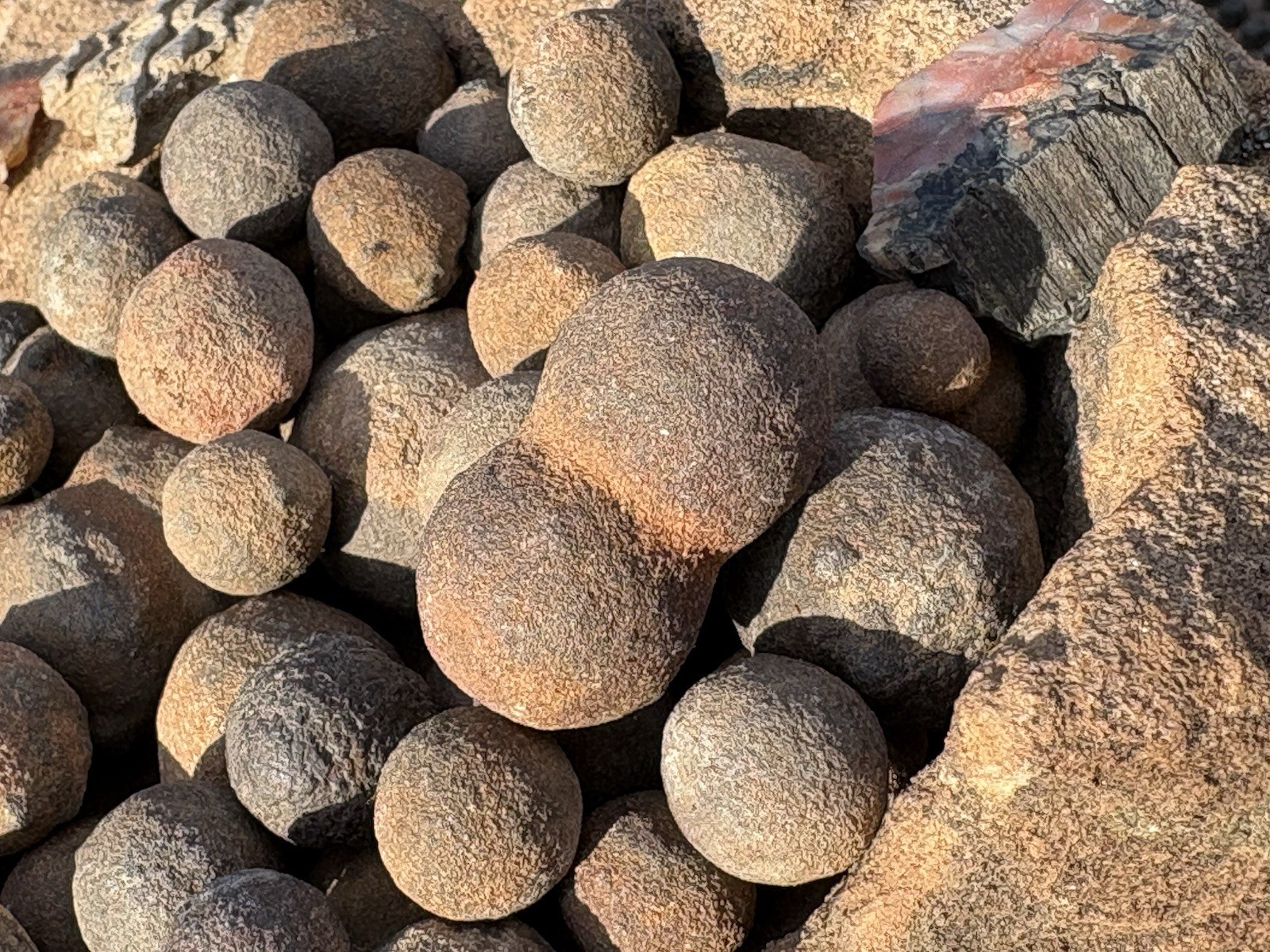 ☘️RR⛏️: Moqui Marbles/Shards On Sandstone Base High Desert Northeast Az. 6.75 Lb