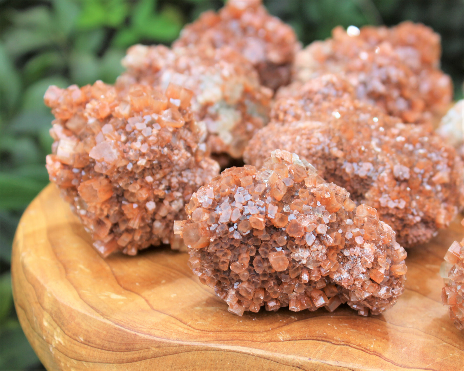 Aragonite Clusters from Morocco ‘A’ Grade Aragonite Crystals: You Choose Size!