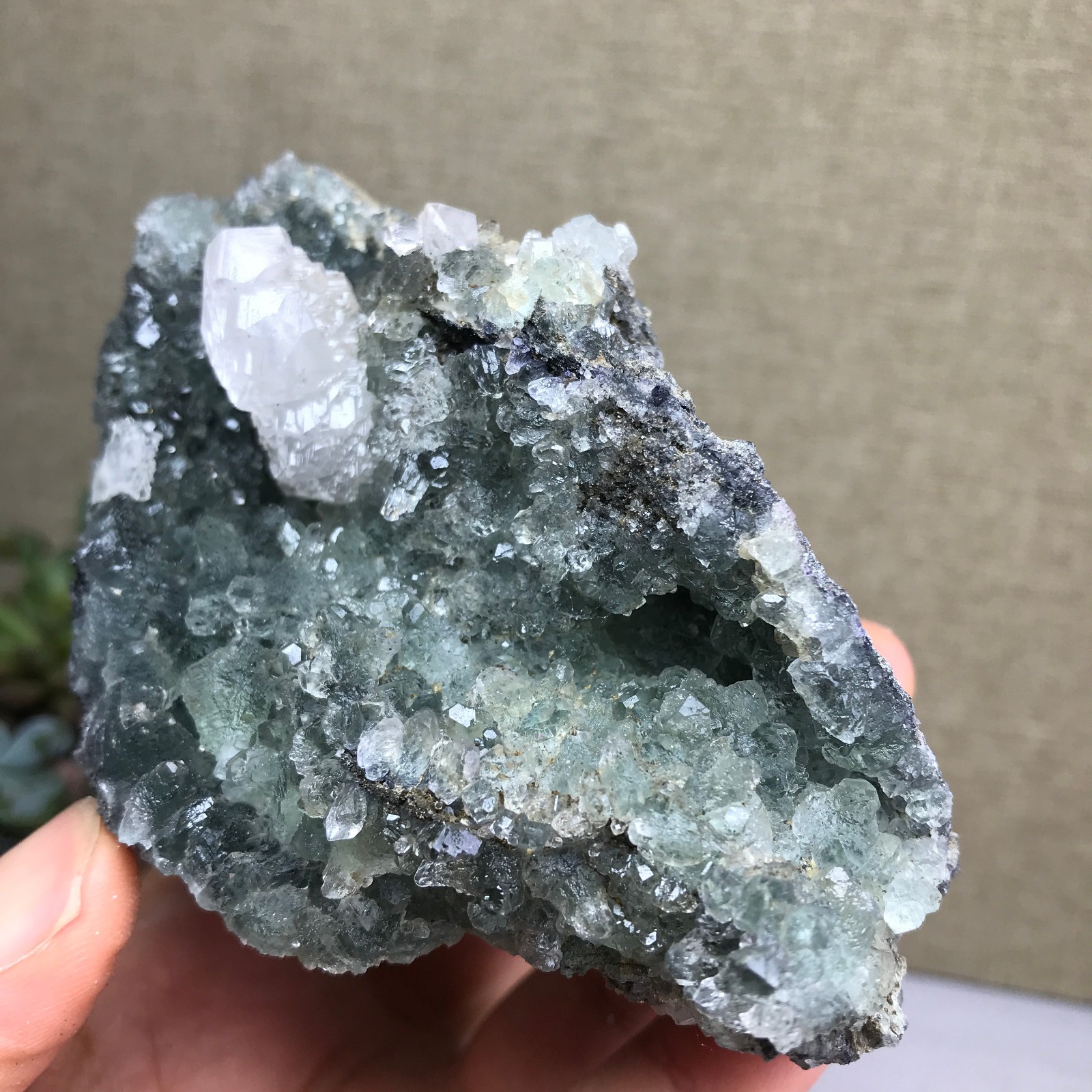 476g NATURAL Green Cubic FLUORITE paragenesis Crystal Cluster Specimen A4780