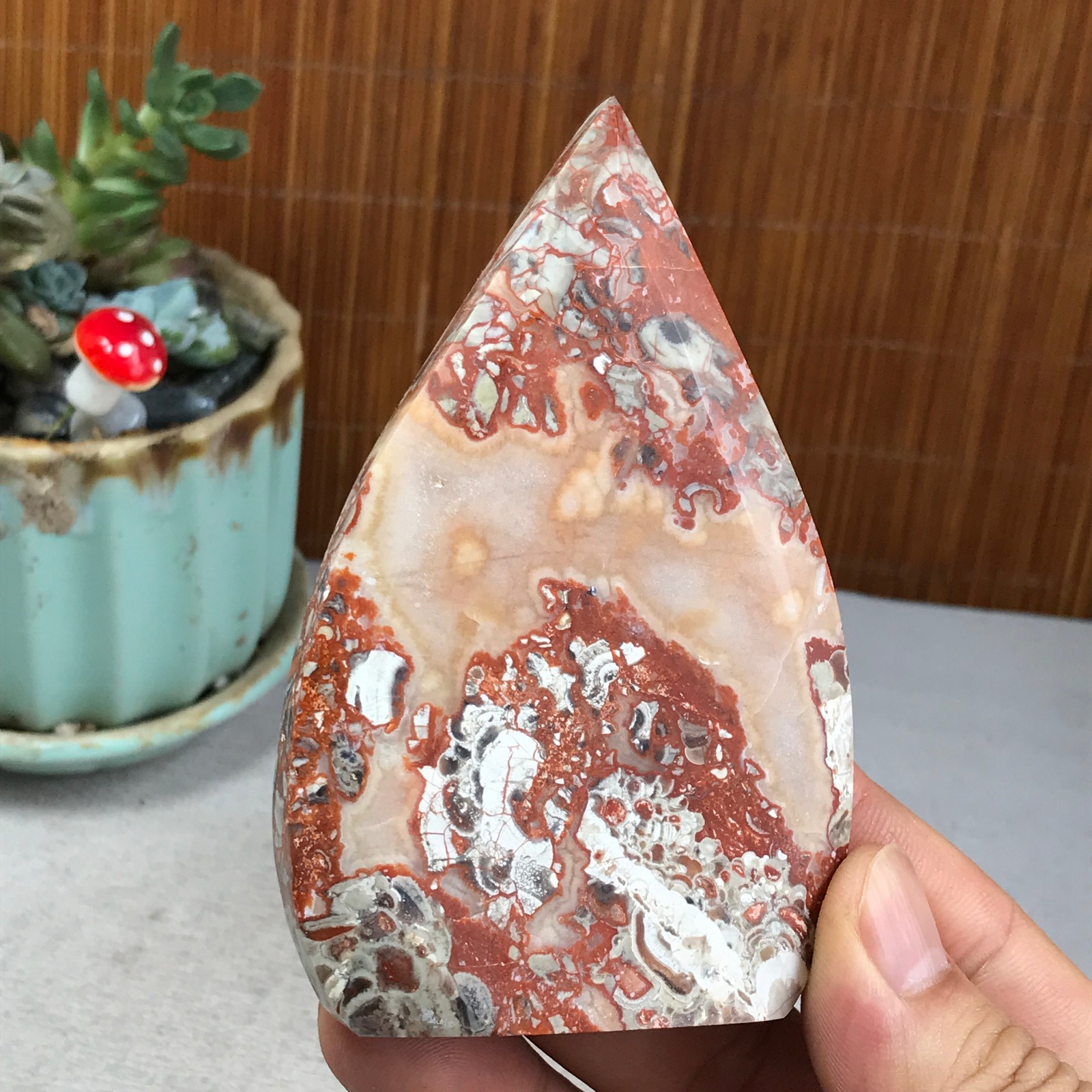 Natural money Mexico agate hand carve leaf Crystal Specimen free standing A6275