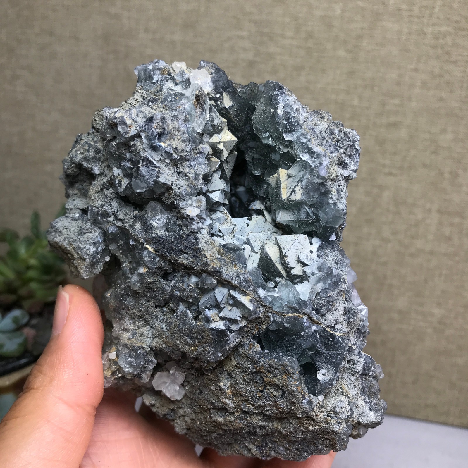 476g NATURAL Green Cubic FLUORITE paragenesis Crystal Cluster Specimen A4780