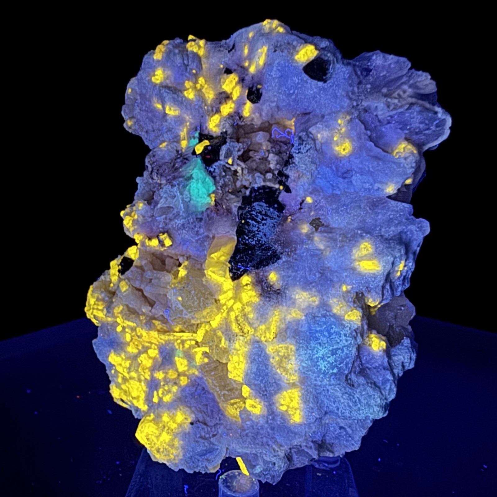 Fine Fluorescent Fluorapatite Crystals on Microcline: Himalaya mine, California
