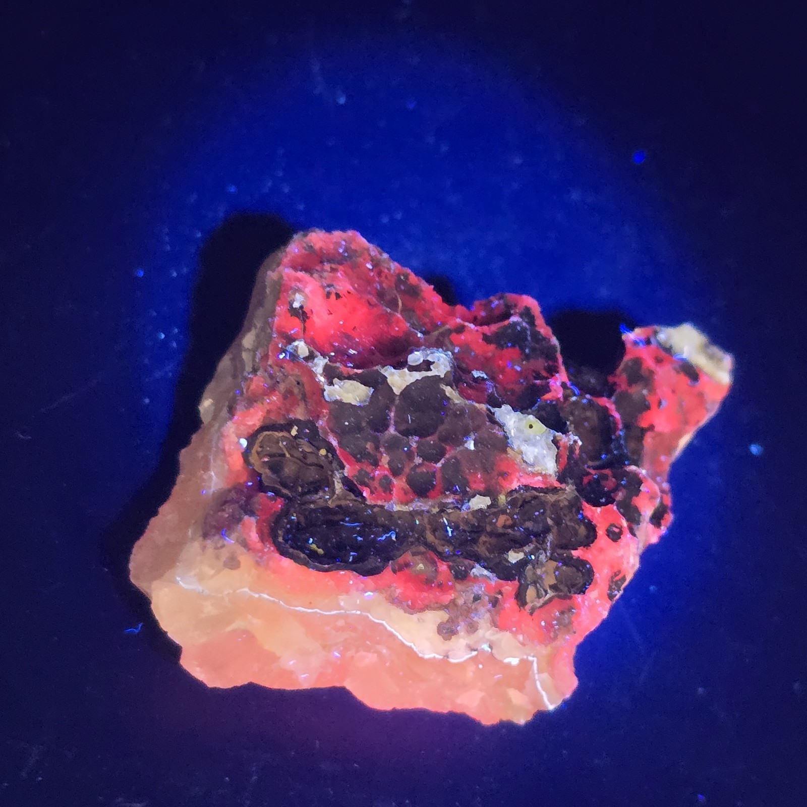 Florescent Smithsonite Botryoidal Specimen Gemstone Crystal Mineral Mexico