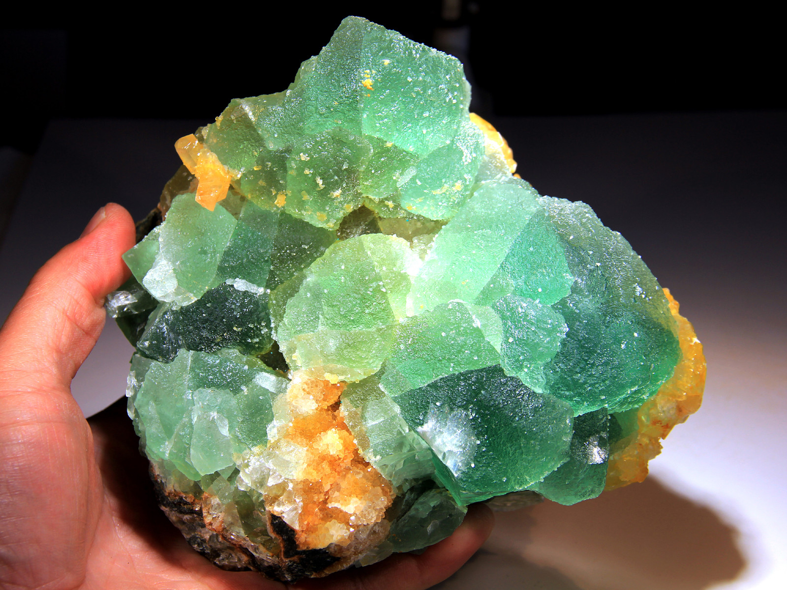 5.75″ Golden Barite on Green Fluorite, Super Color Contrast! Hunan, China! FL265