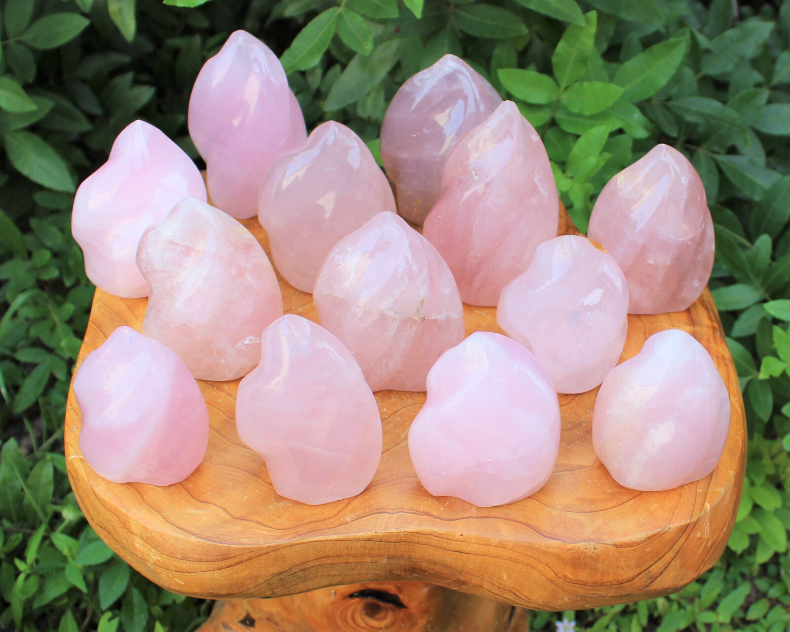Polished Rose Quartz Crystal Flame – Natural Rose Quartz Flame Cut Base Specimen