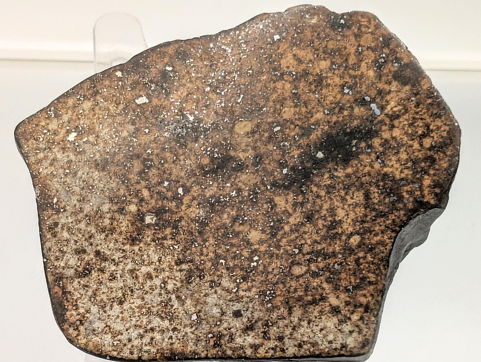 Chondrite Meteorite Crystsl Pair (DP)