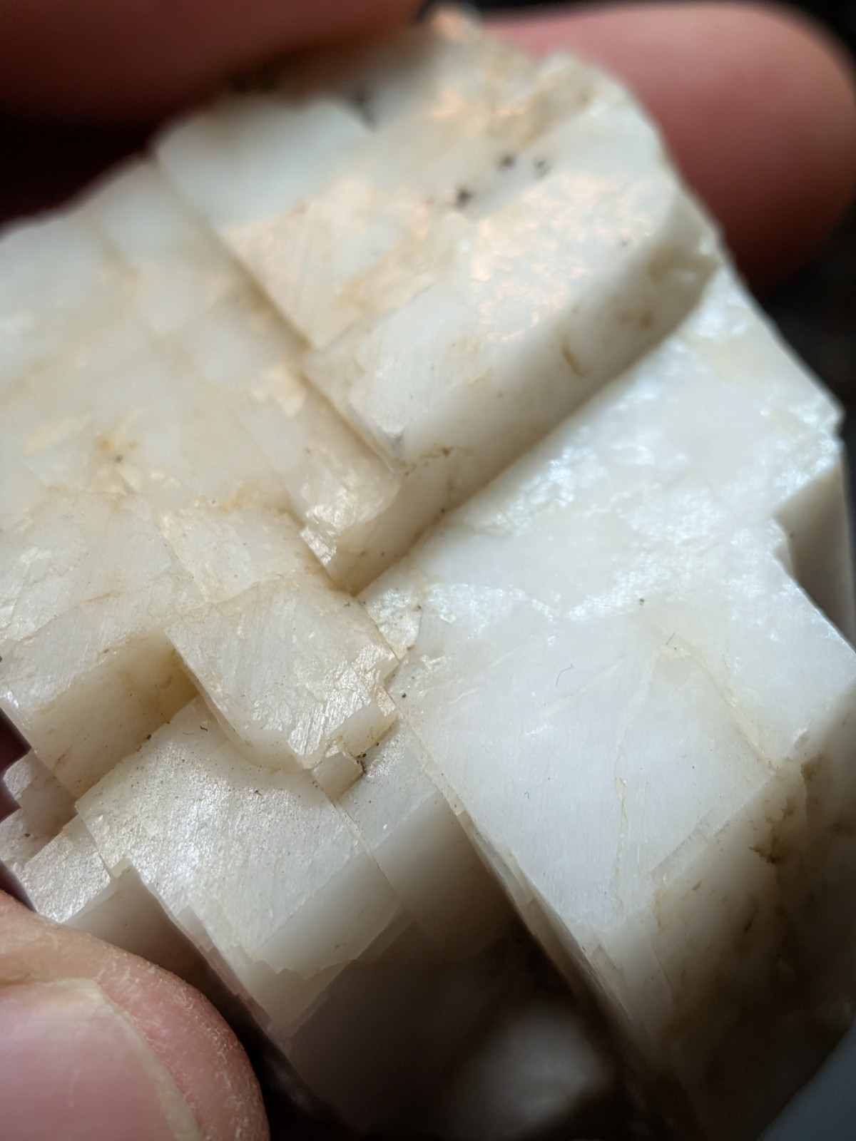 Calcite With Chalcopyrite And Fluorescent Bitumen And Fluorite, Kentucky