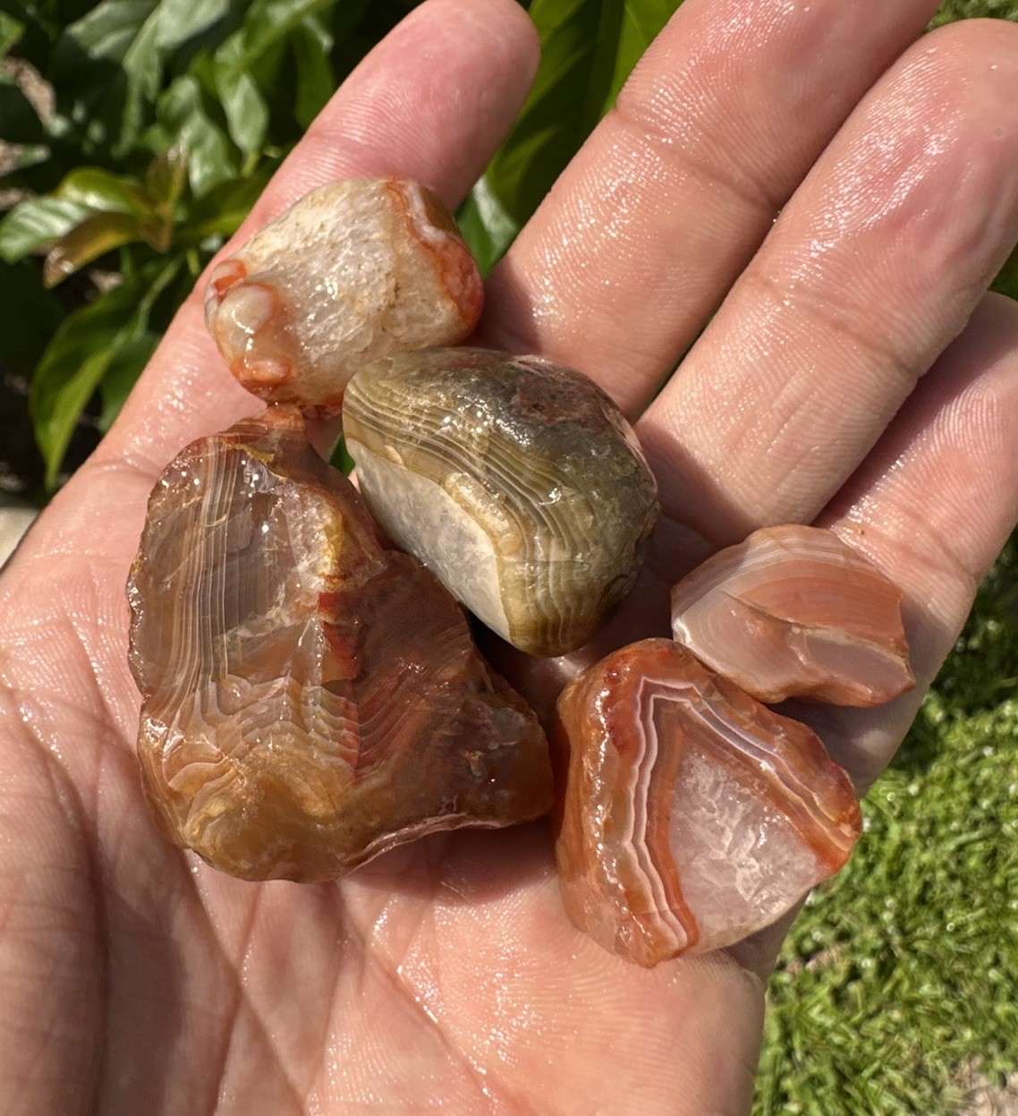 3.90 oz Lake Superior Agate Lapidary Lot 5 Multicolor Beauty’s