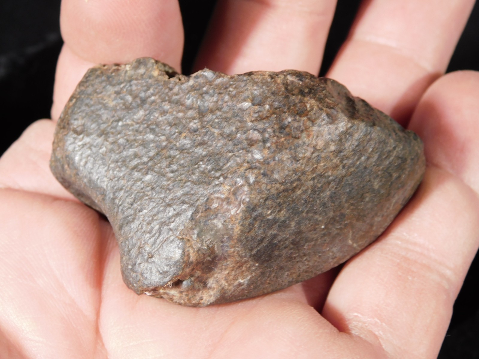 Stony N.W.A. METEORITE 100% Natural FELL in Libya 98.4gr