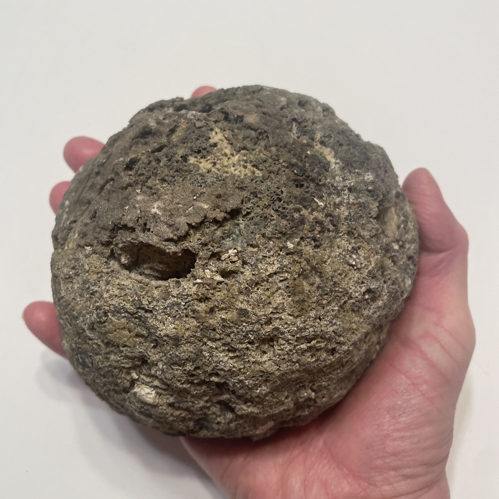 HUGE 3+ Pound Agate!! Cut, Not Polished BEAUTIFUL!!!