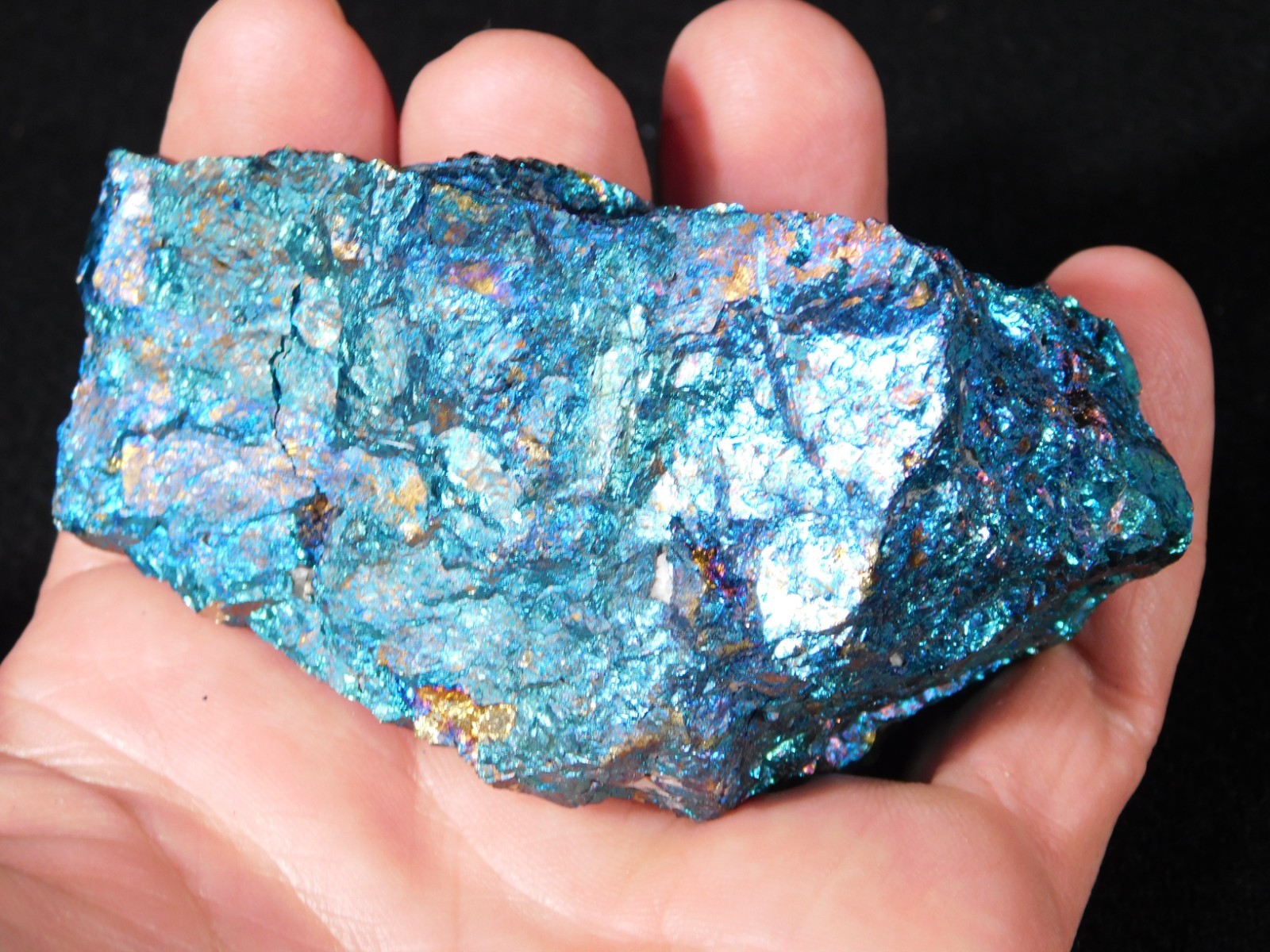 LARGER Bright IRIDESCENT Peacock Copper Chalcopyrite or Peacock Ore Mexico 347gr