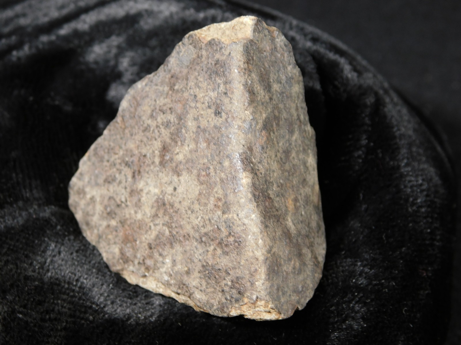 Classified NWA 8245 METEORITE Spots of Dark Fusion Crust! Erfoud, Morocco 74.5gr