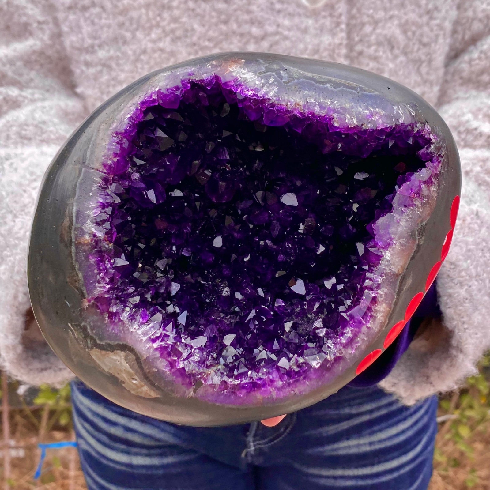 8.15LB Natural amethyst Dinosaur egg Quartz Crystal specimen healing