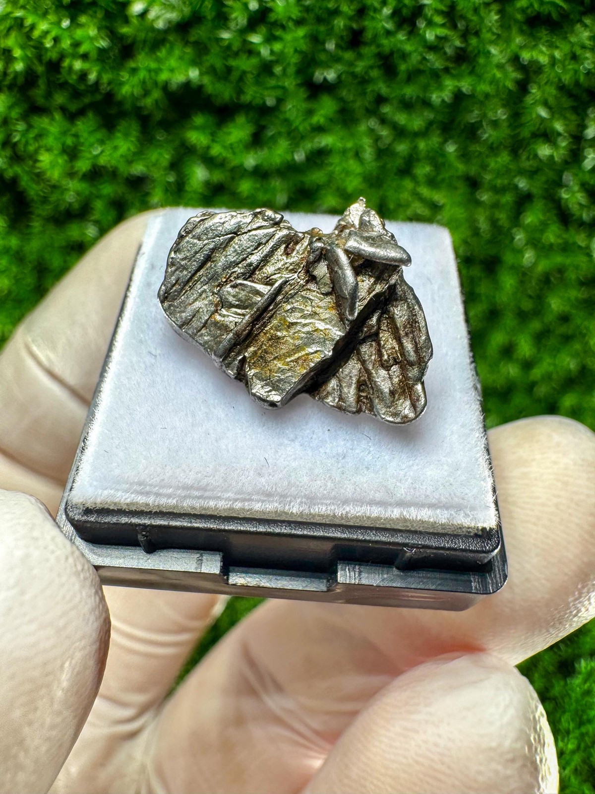Genuine Aletai Iron Meteorite / From the Asteroid Belt Between MARS AND JUPITER!