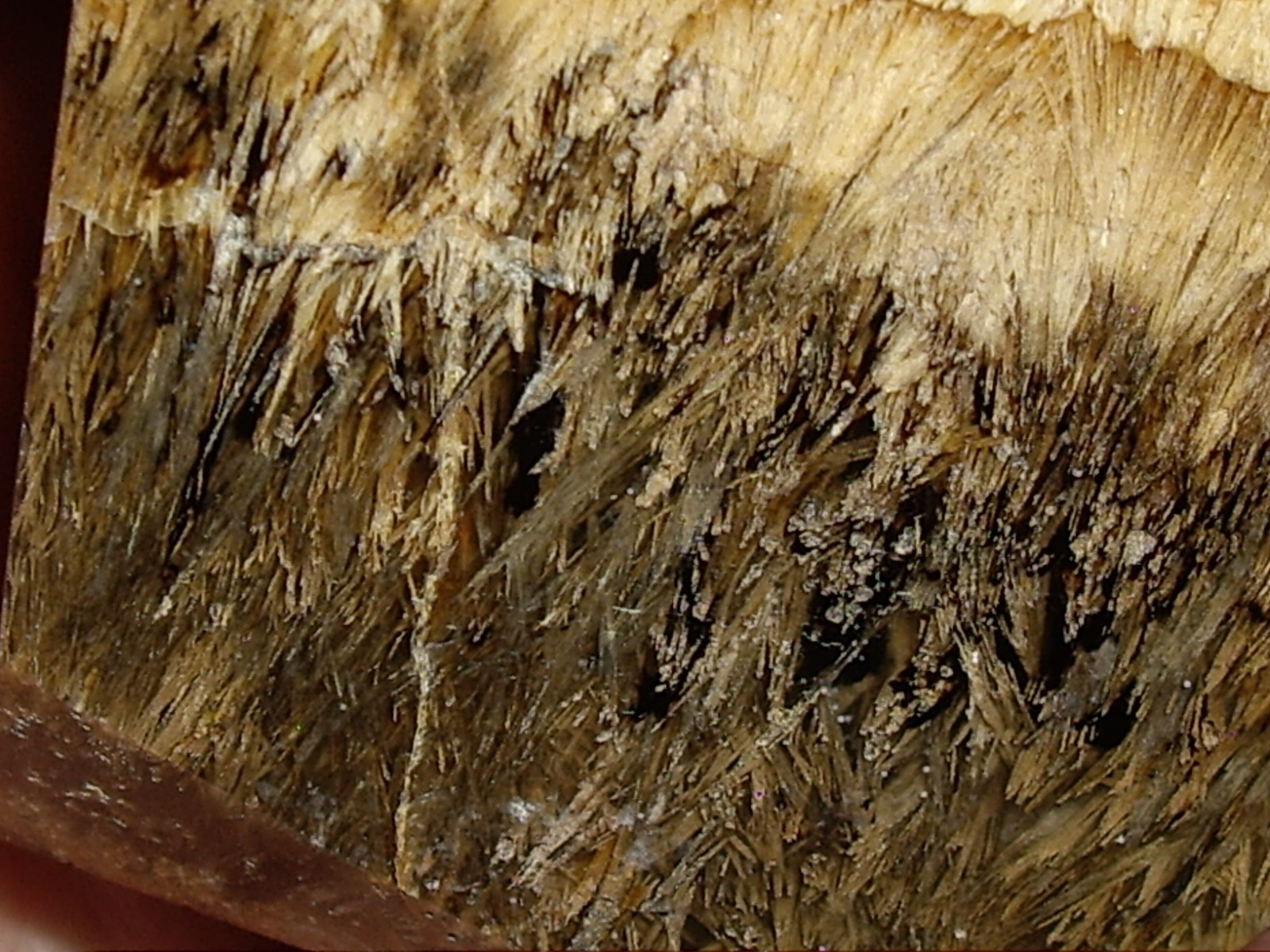 Fantastic Sagenite Agate Polished Freeform w/ Unknown Fibrous Inclusions 144.6g