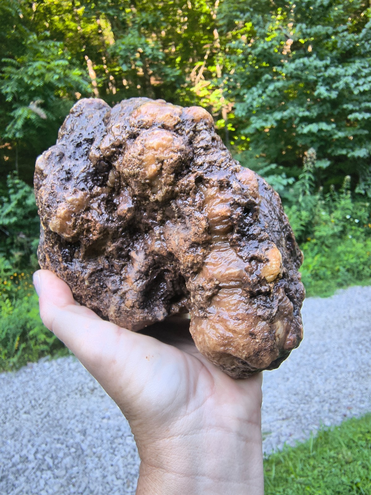 7.06 lb Kentucky Geode Unopened Large Natural Crystal Geode 8″ Feels Hollow