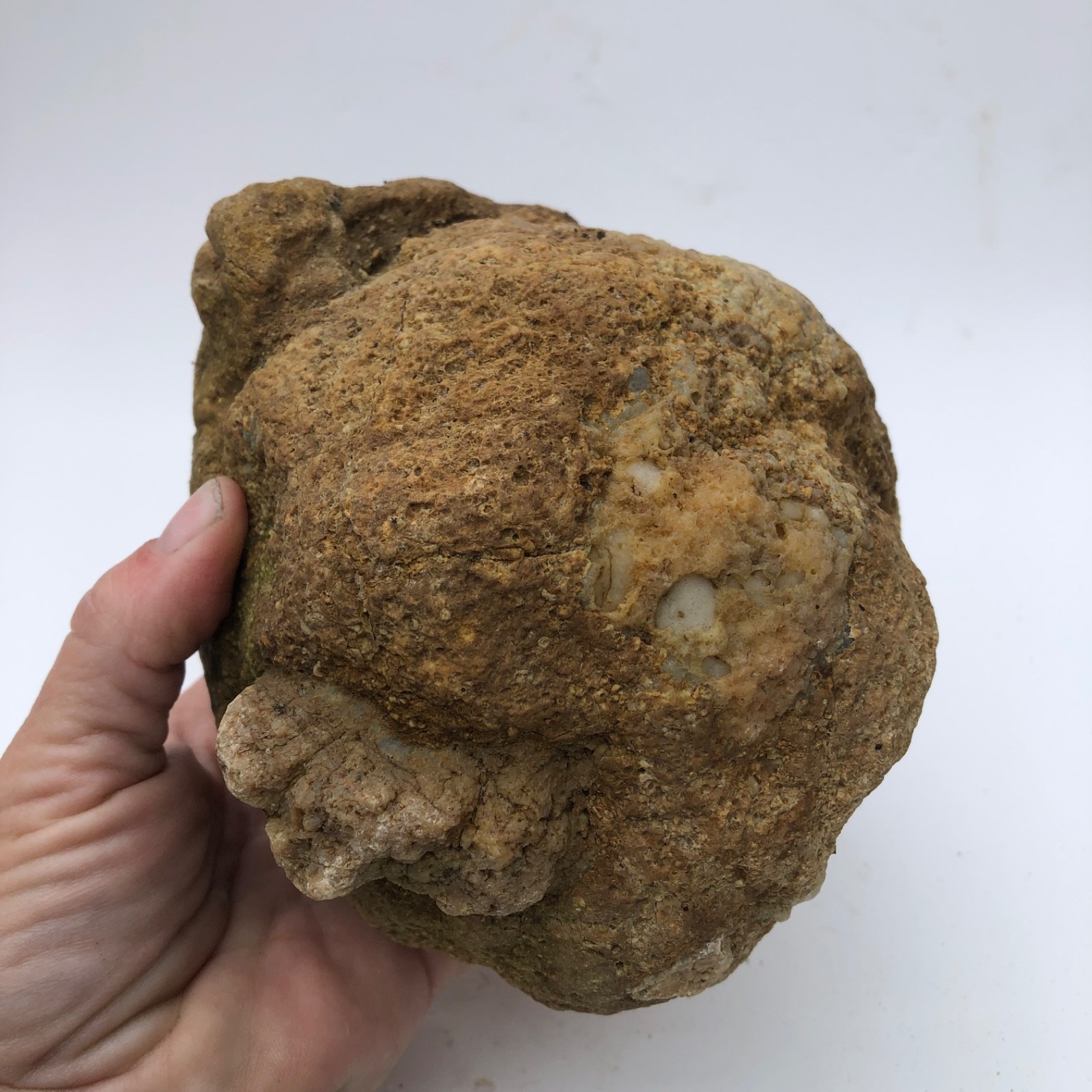 4 lb Unopened Kentucky Geode Rattler Break Your Own Hand Picked Natural Quartz