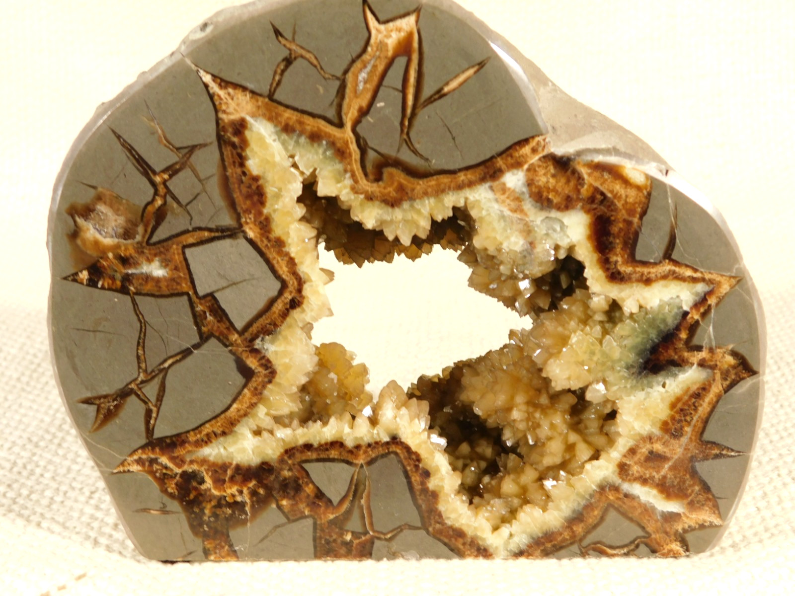 Big! Polished AAA Crystal Filled Hollow Septarian GEODE FREE Standing Utah 780gr