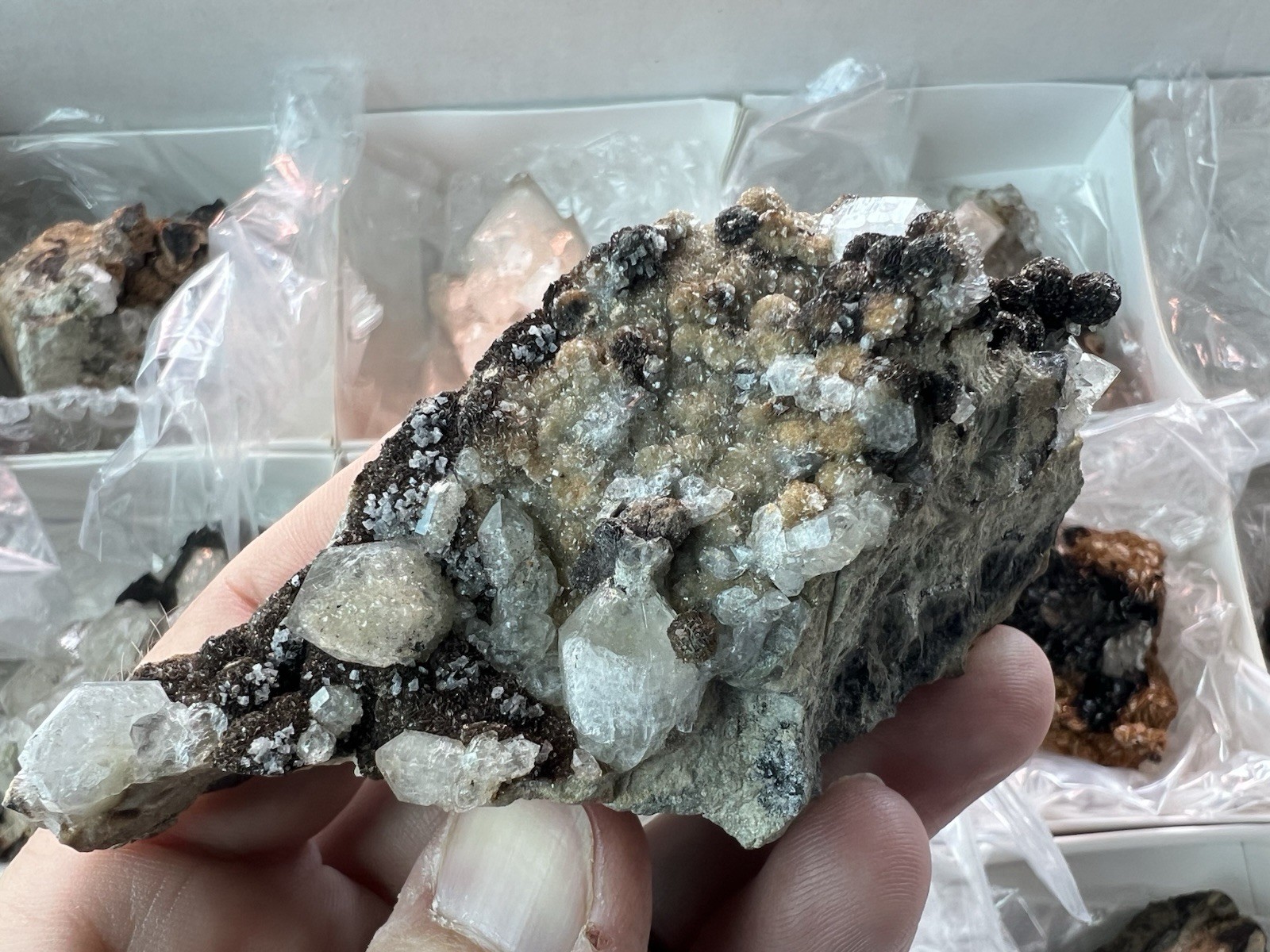 12 Quartz & Siderite Specimens – Potosí Mine, Santa Eulalia, Chihuahua, Mexico