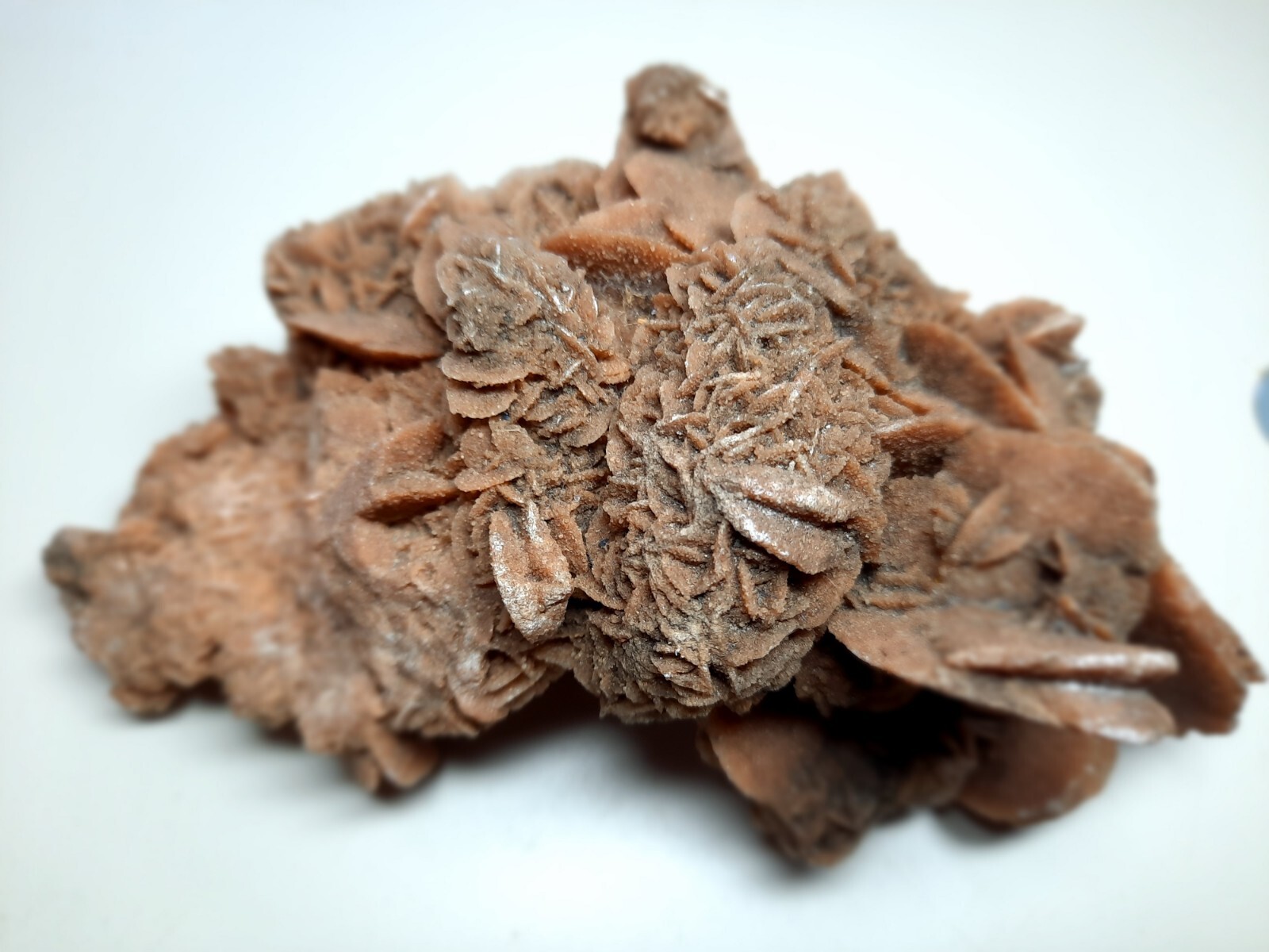 LARGE DESERT ROSE GYPSUM 6 1/4 x 3 1/2 x 2 1/4 Rock Mineral Crystal Stone