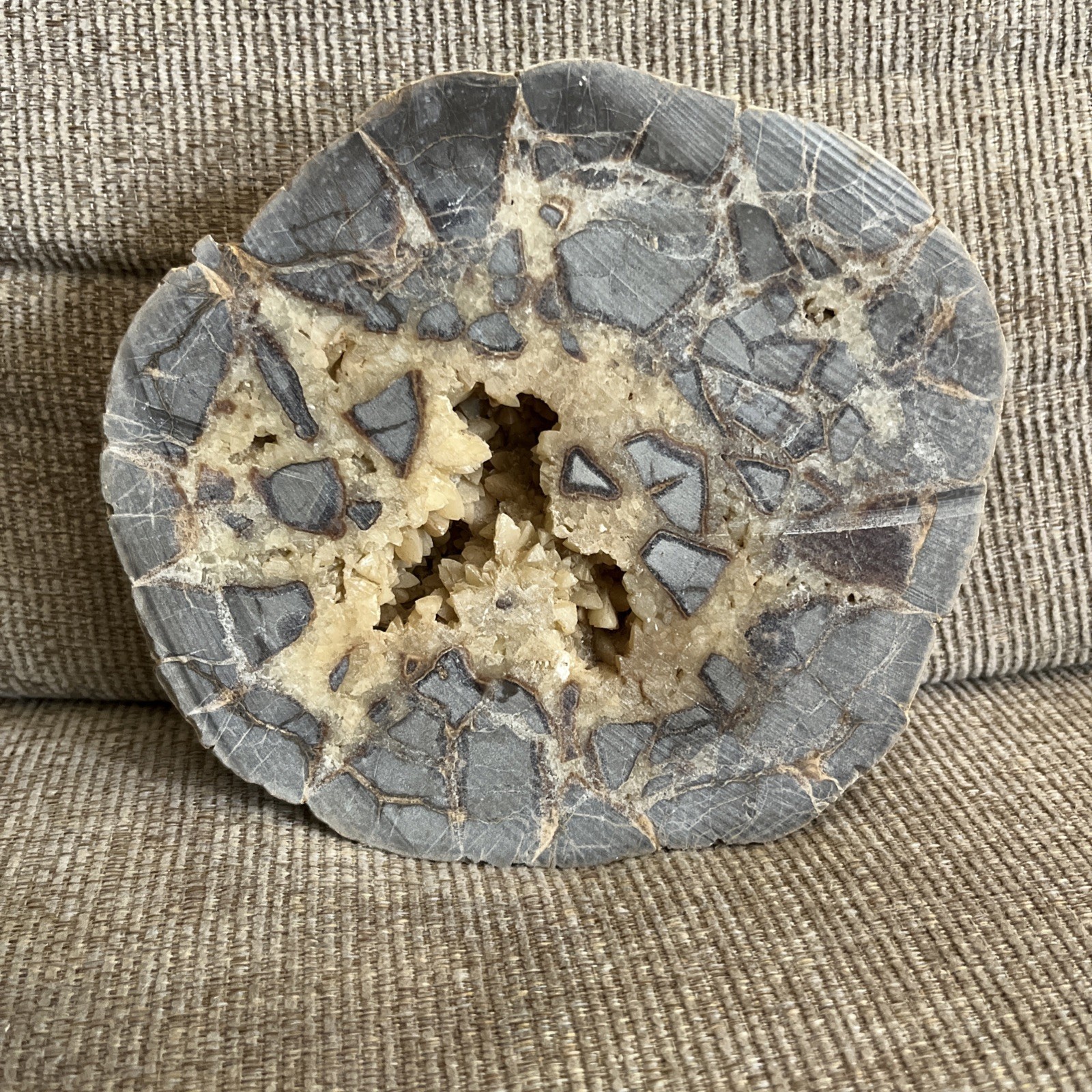 Larger Cut SEPTARIAN Nodule Half With a Lightning Like Pattern! Utah 2 Lbs