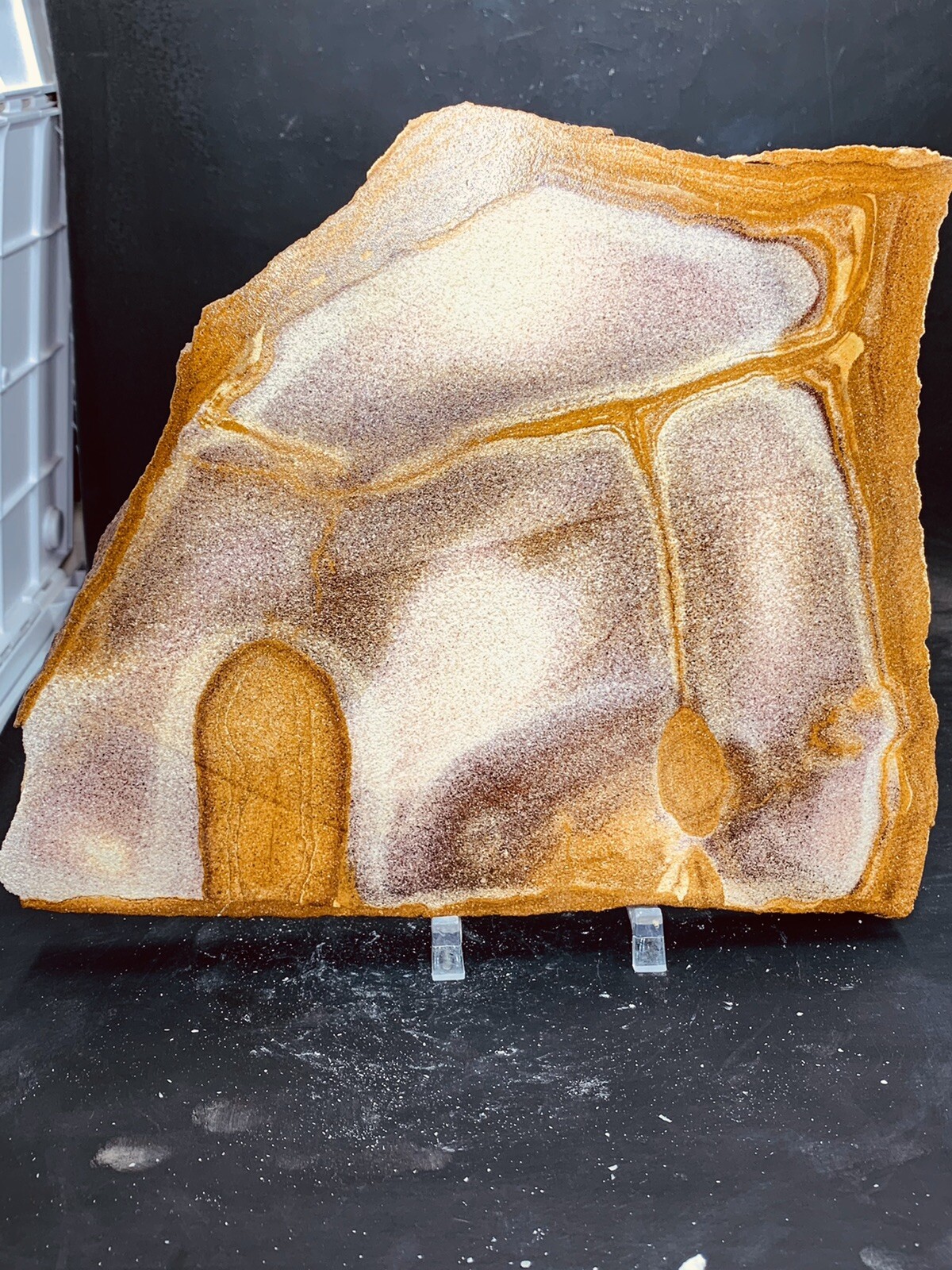 Picture Sandstone Display Slab ( Utah ) With Stand