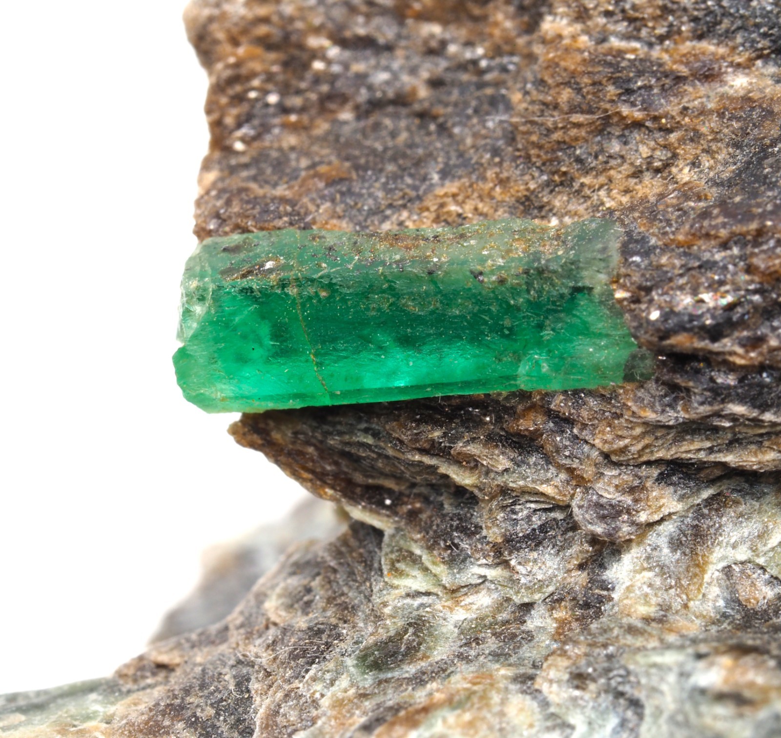 Great Emerald Crystal on Matrix – Leckbachgraben, Austria