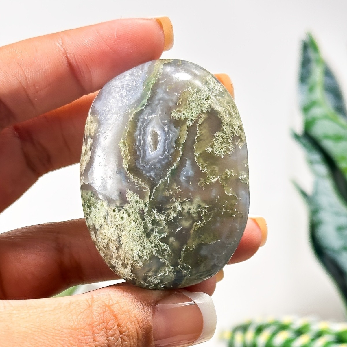 0.2LB Wholesale Natural Moss Agate Crystal Palm Stone Druzy Geode Home Collect