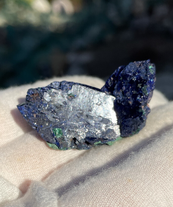 ~ 1 5/8” high x 1 1/4” x 3/4” depth, AZURITE, Milpillas Mine, Mexico