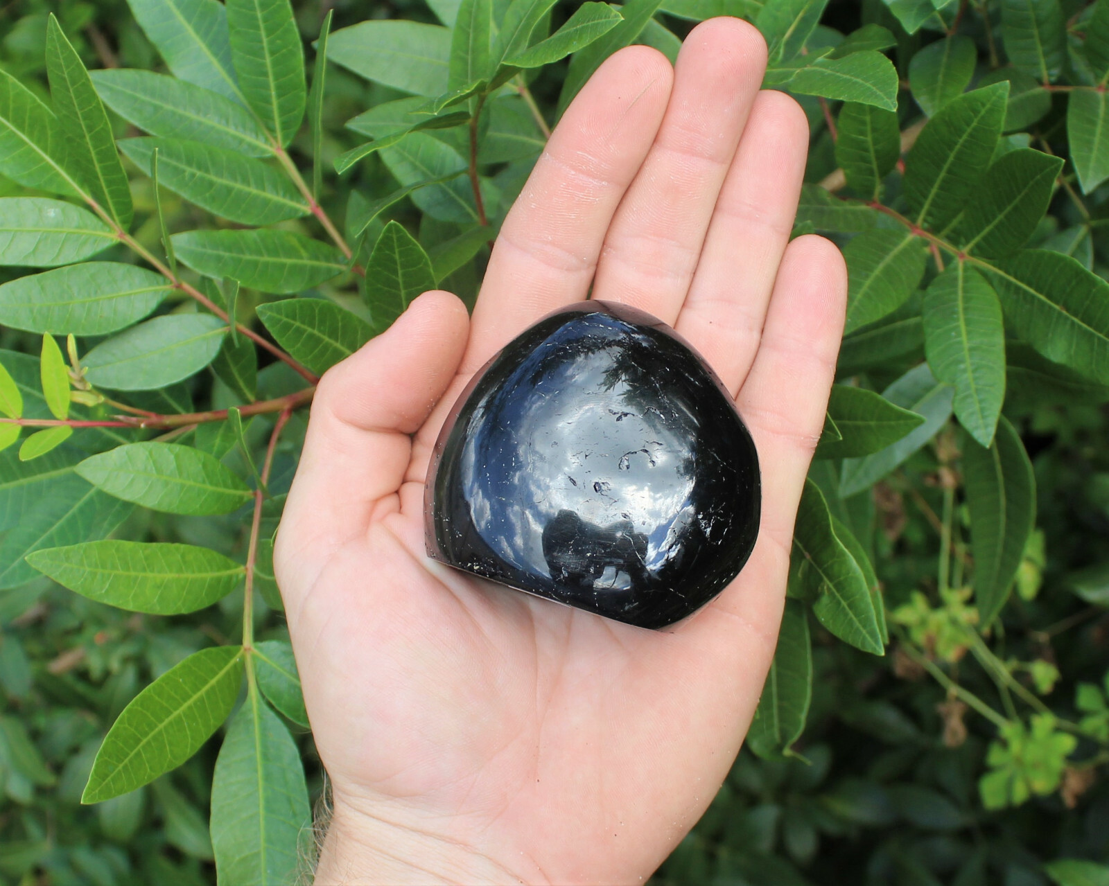 Polished Black Tourmaline Freeform: Cut Base Free Standing Display Specimens