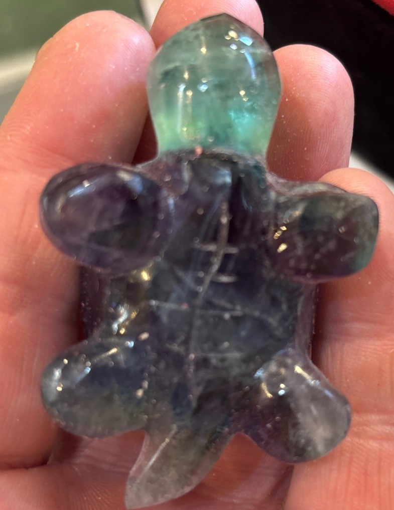 2 1/2” Fluorite Turtle Hand Carved 96.3 Grams