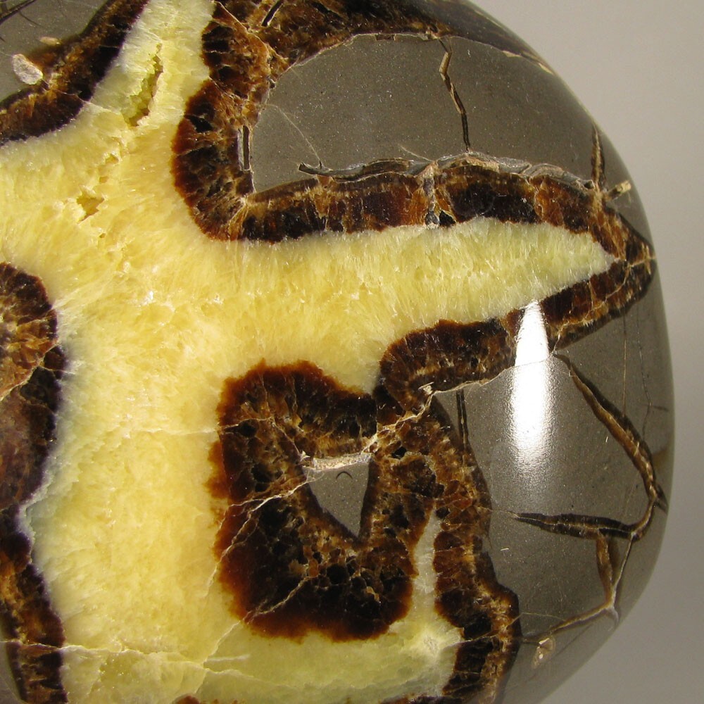 3.8″ SEPTARIAN Turtleback Polished Geode End Slab – Utah
