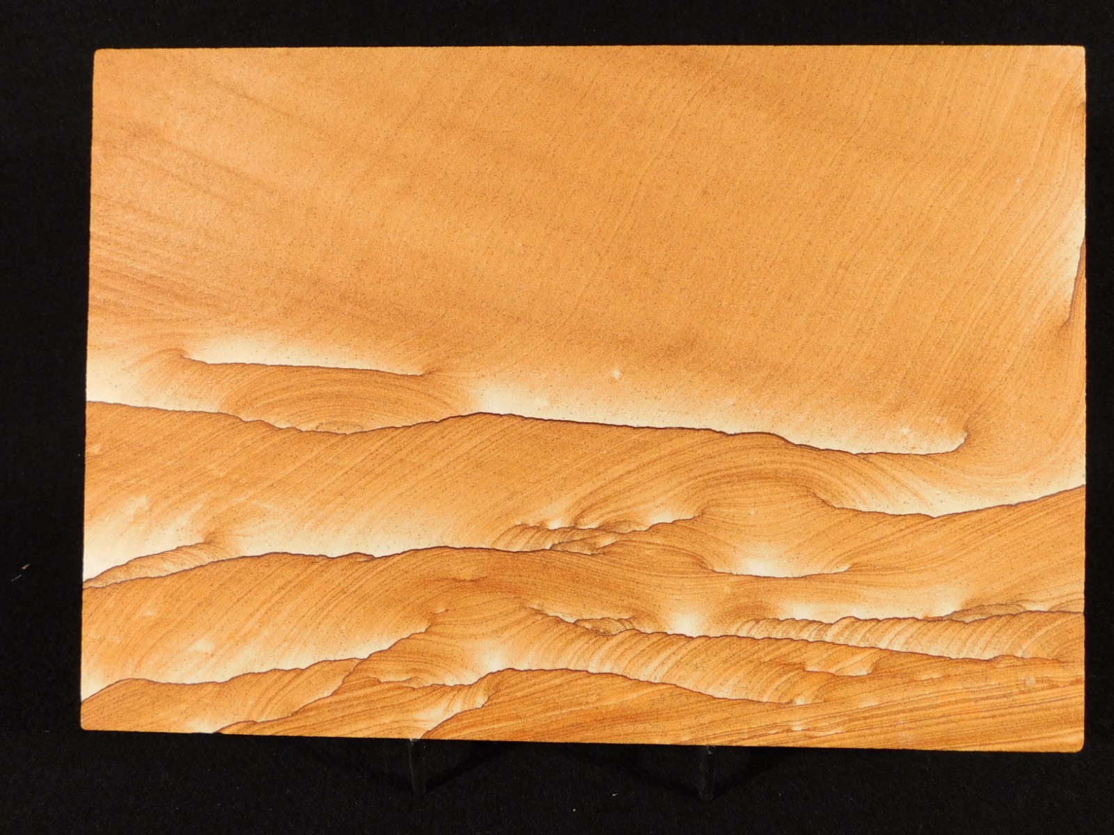 wOw! BIG PICTURE Stone or SANDSTONE Slice/Slab with Display Stand Utah 1041gr