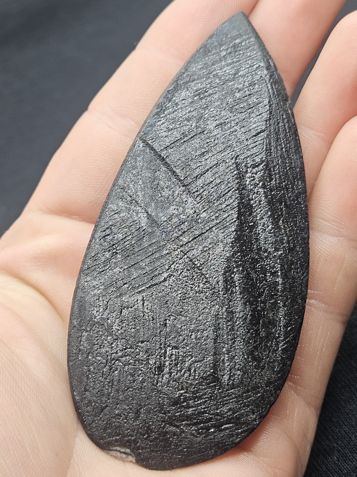 Polished Orthoceras Fossil Palm Stone – Morocco – Devonian Era Cephalopod