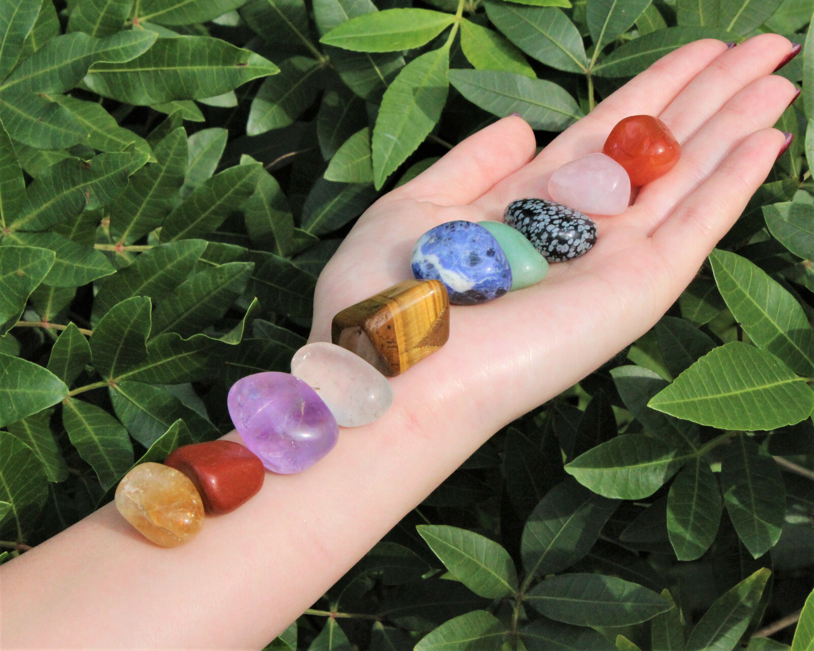 Beginners Crystal Kit, 10 pcs In Velvet Pouch – Most Popular Tumbled Crystals
