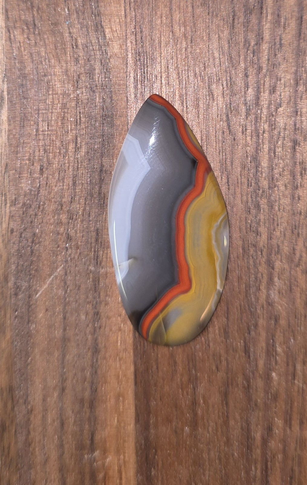 2 Rare Red Black Clear Banded Kentucky Agate Cabochon Ready to Set #C-8