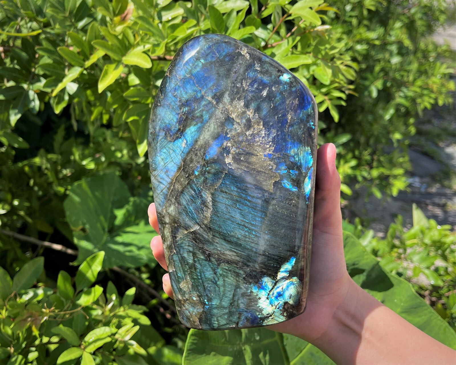 JUMBO Polished Labradorite Freeform: High Flash Free Standing Crystal Specimens
