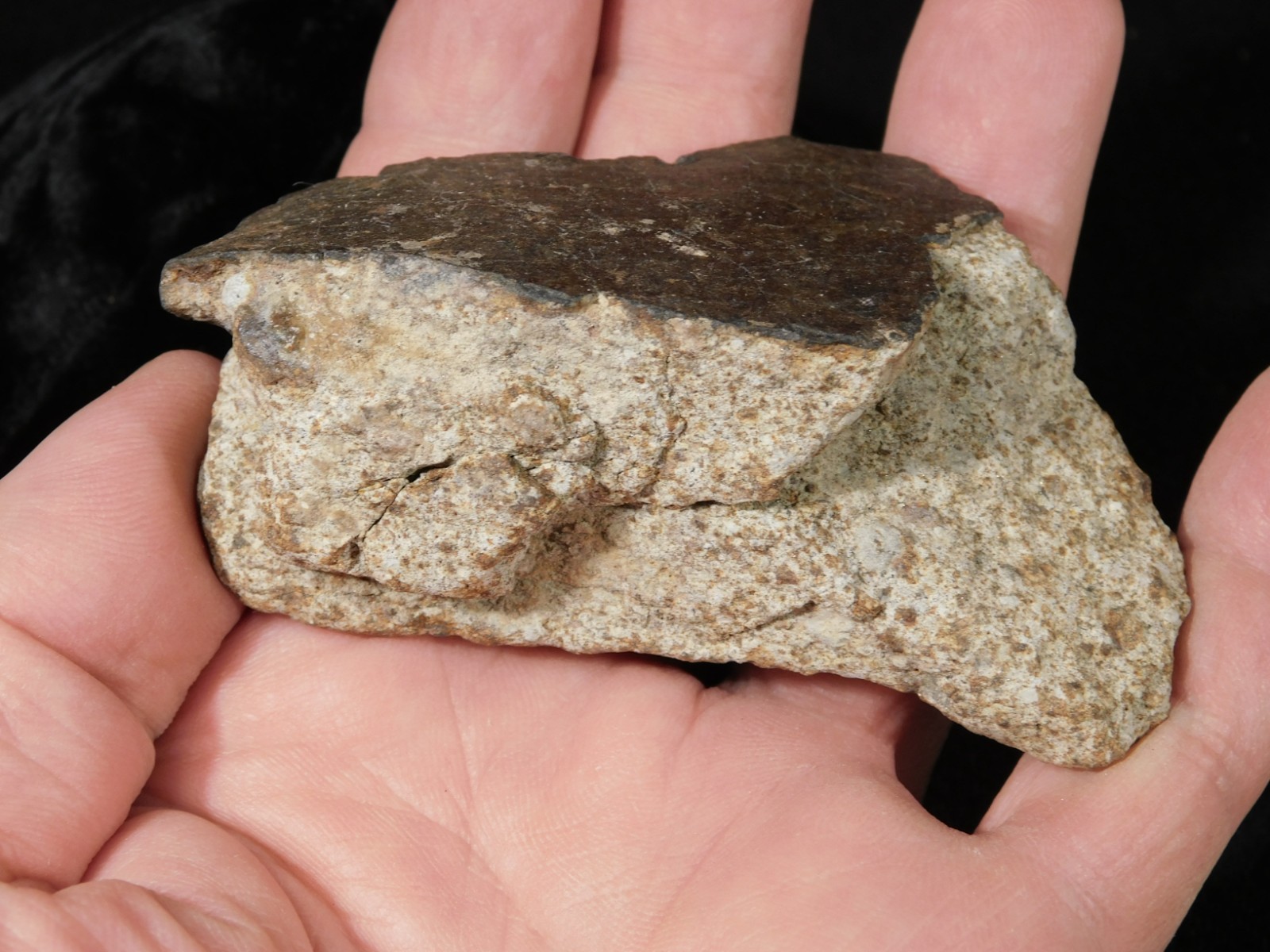 Larger! Classified NWA 8245 METEORITE 100% Natural! Erfoud, Morocco 184gr