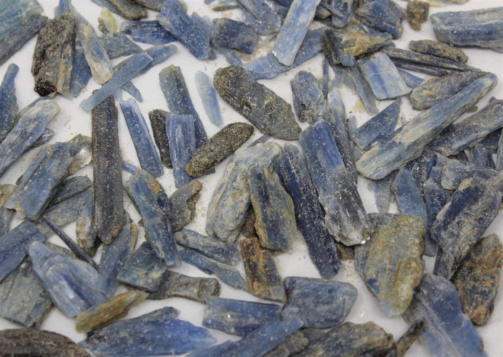 1 lb Bulk Lot Rough Blue Kyanite Blades Natural Pieces Crystals CLEARANCE 16 oz