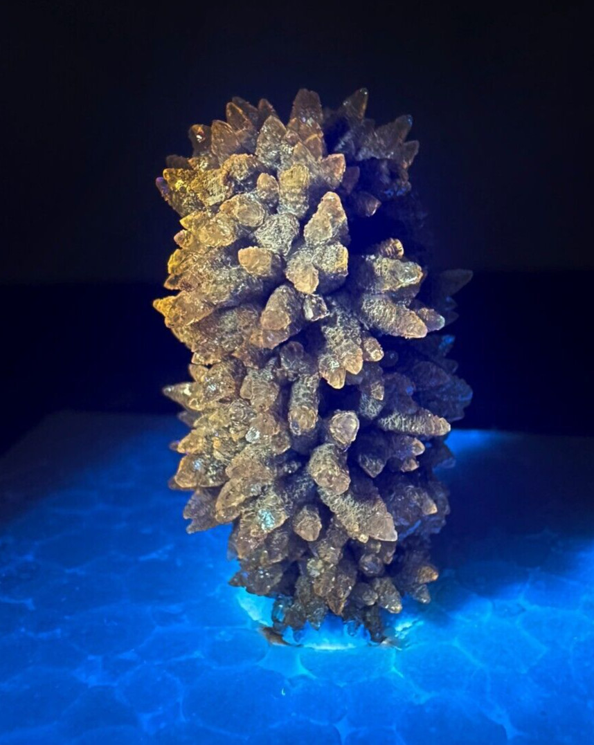 ➤ 1-1/2″ Tall “HEDGEHOG” CALCITE Pleasant Ridge Rensselaer Indiana VIDEO➤412