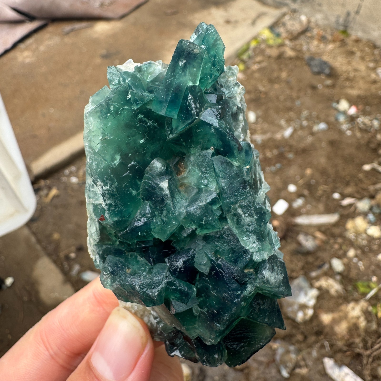 115G Natural cubic green fluorite crystal cluster rough mineral specimen Healing